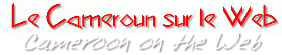 Le Cameroun sur Internet